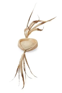 Lapsang Natural Percher Hat -Chic Hats Shop LAPSANG NATURAL 3